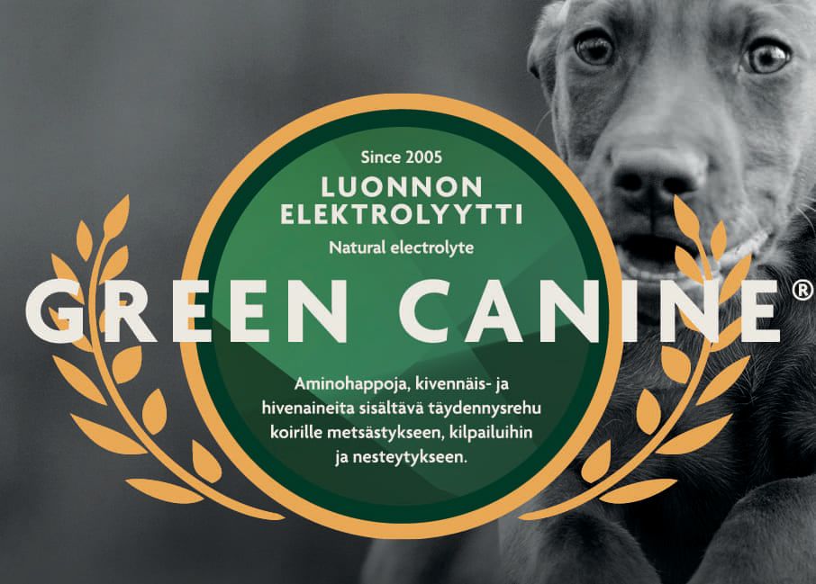 Green canine